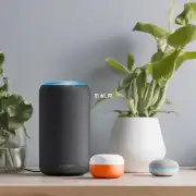 你好我想问一下什么是Amazon Echo和Google Home的区别吗？