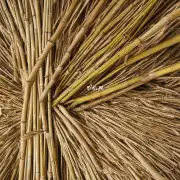 什么是竹木纤维?