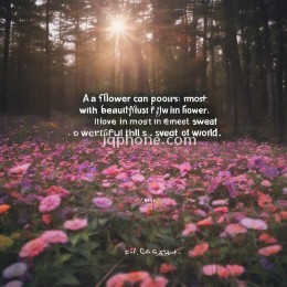 一颗花种，仅有付出汗水才能浇灌出世间最美的花朵。