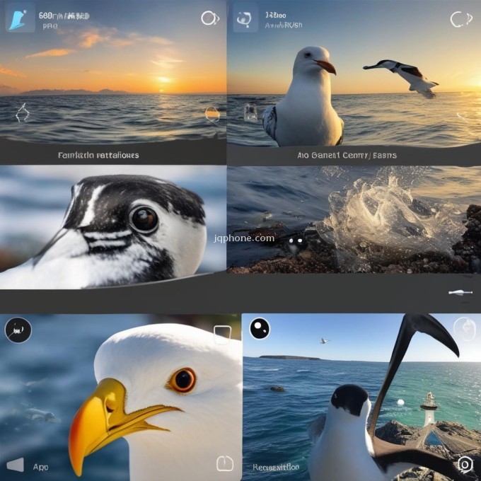 什么是海雀摄像头App的功能和特点?
 如何安装海雀摄像头App并启动它？